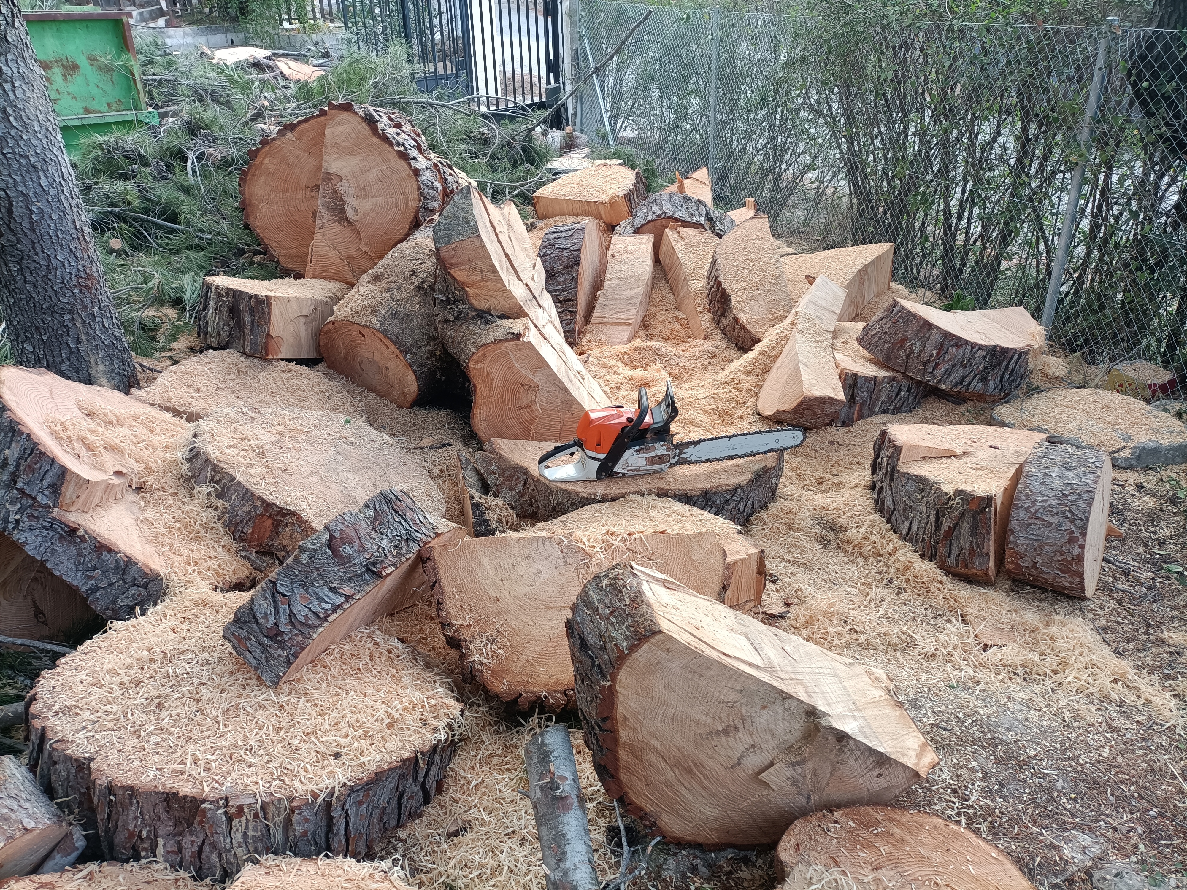 Poda, madera, troncos